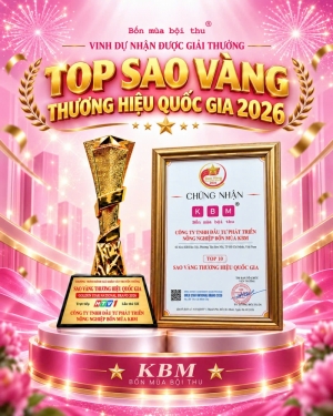 bon mua kbm duoc vinh danh sao vang thuong hieu quoc gia 2026