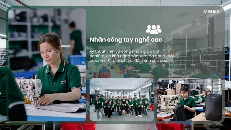vibex duoc de cu top 10 thuong hieu xuat sac chau a 2026