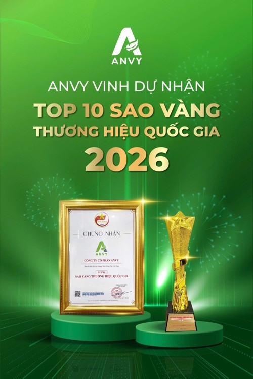 cong nghe va nang luc san xuat phia sau dau an top 10 sao vang thuong hieu quoc gia cua anvy