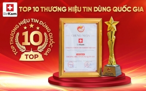 drkam  hanh trinh tu hao den voi top 10 thuong hieu tin dung quoc gia 2024