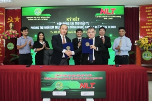 nlt group va hanh trinh 10 nam kien tao ha tang so cho do thi viet