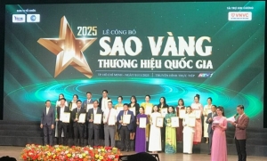 thoi trang hai anh   hanh trinh hon 20 nam tien phong trong nganh thoi trang cong so viet nam vinh du dat top 10 sao vang thuong hieu quoc gia 2025