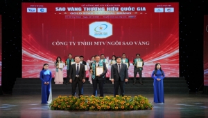 cong ty tnhh mtv ngoi sao vang   top 10 sao vang thuong hieu quoc gia 2024