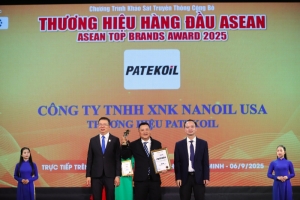 giai thuong top 10 thuong hieu tieu bieu hang dau asean   nu cuoi thanh cong cua patekoil