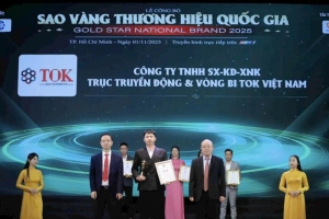 tok viet nam   khang dinh dau an top 5 thuong hieu phu tung o to xuat sac quoc gia 2025